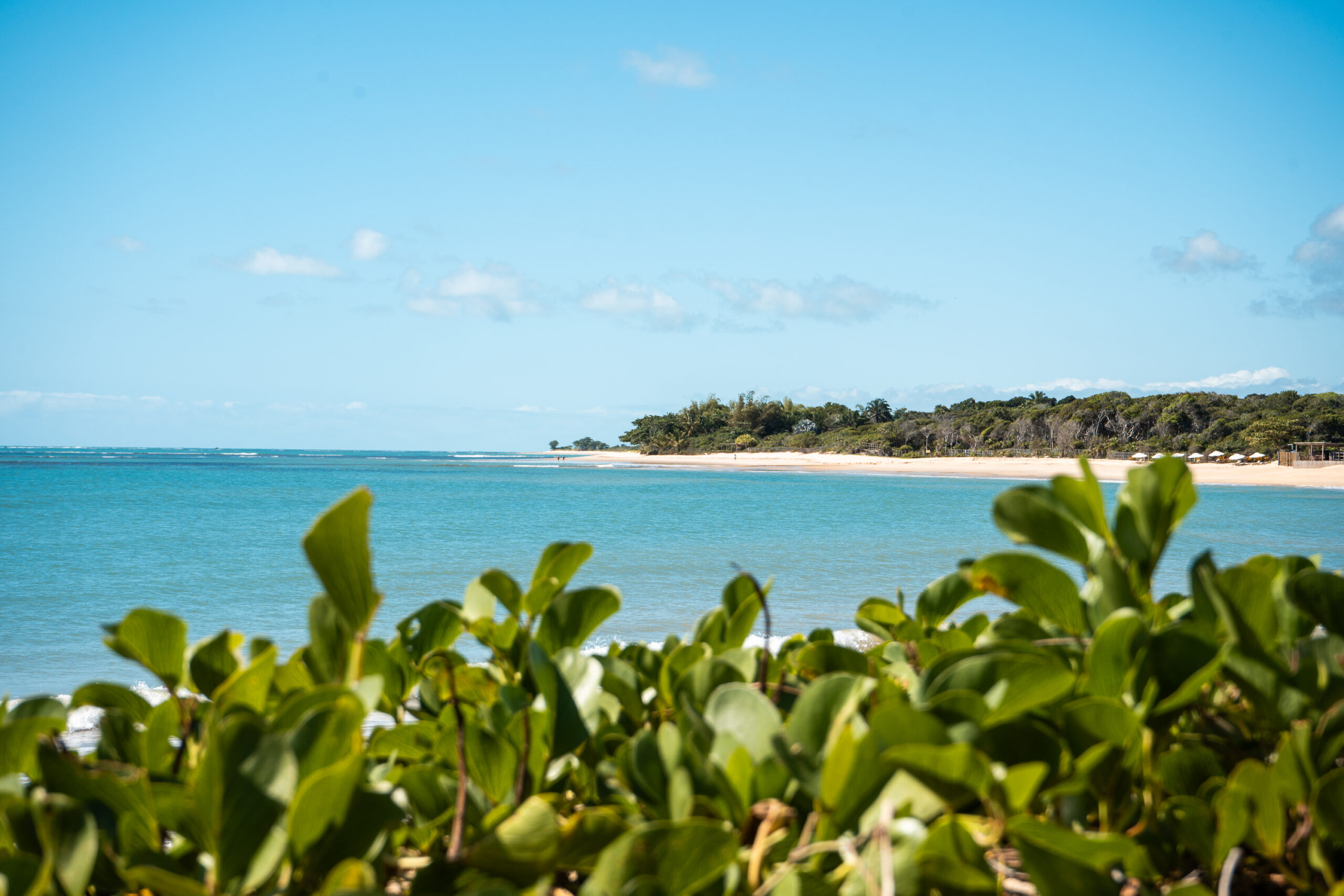 Aluguel casa de luxoTrancoso, Villa 63