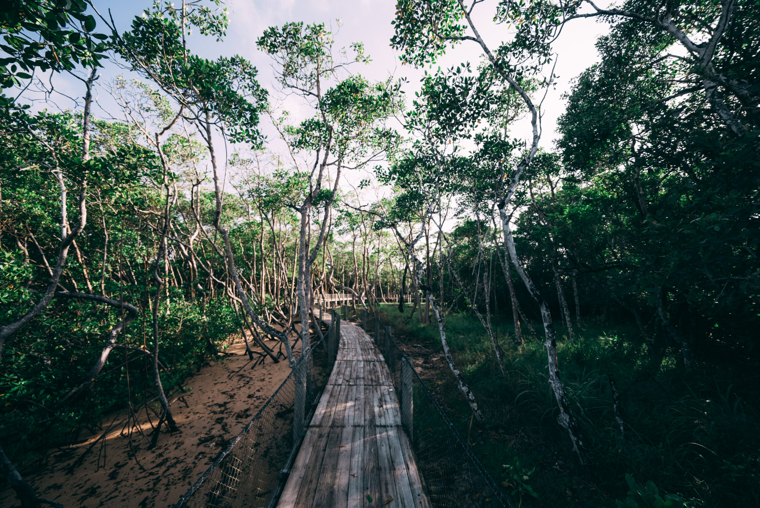 Aluguel casa de luxoSanto André, Villa 03